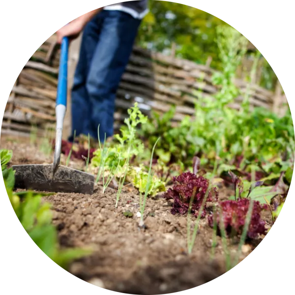 Garten